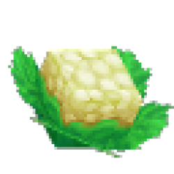 Cauliflower