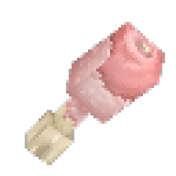 ANY TYPE OF RAW MEAT